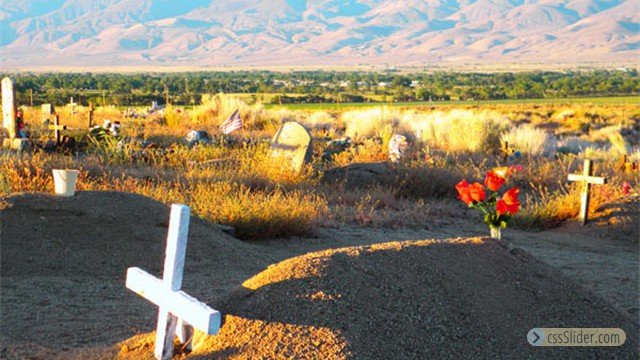Sunland Cemetary by Emma Williams