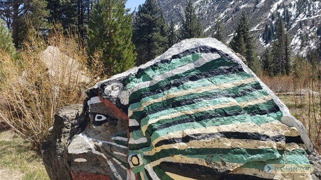 Beaver Ponds by Alena Dondero