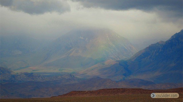 Rainbow by Toni Richards