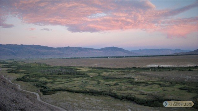 River View by Harry Williams