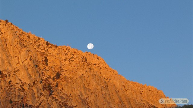 Moonrise by Toni Richards