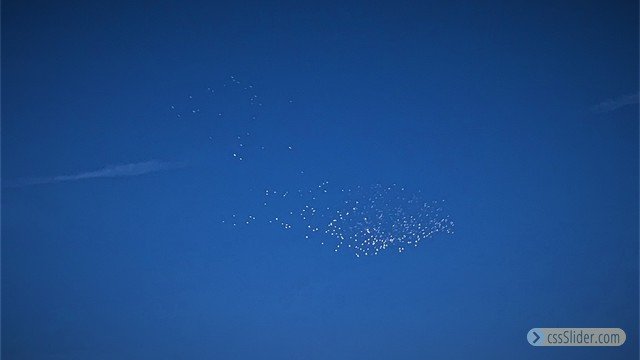 Pelican Pod by Gaylene Kinzy