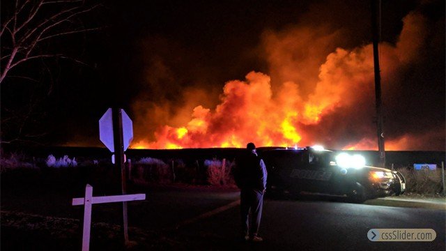 Pleasant Fire, Anonymous